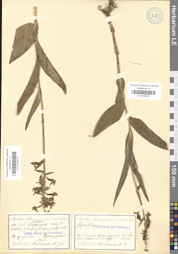 LE 01030414