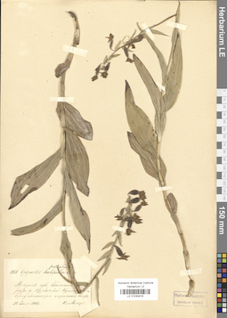 LE 01030415