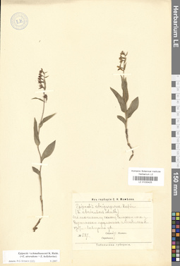 LE 01030425