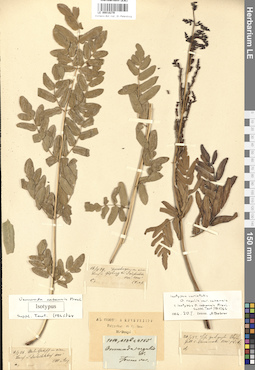 LE 00018279