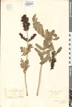 LE 00018280