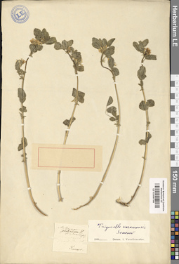 LE 01009766