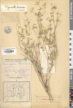 LE 01009770