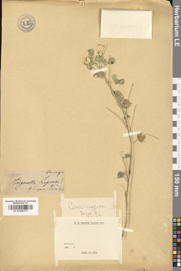 LE 01009772