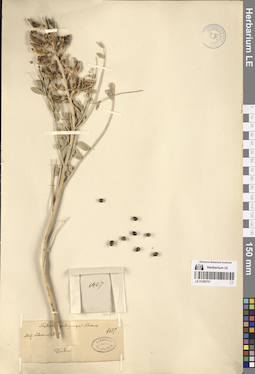 LE 01280701