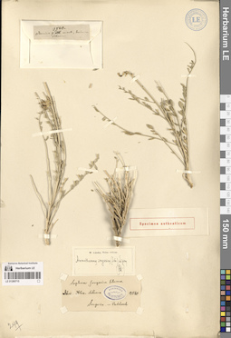 LE 01280715