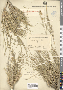LE 01280718