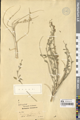 LE 01280720