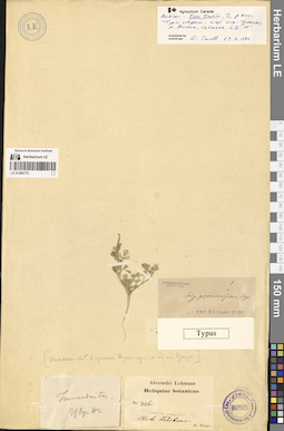 LE 01280770
