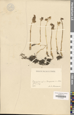LE 01030449