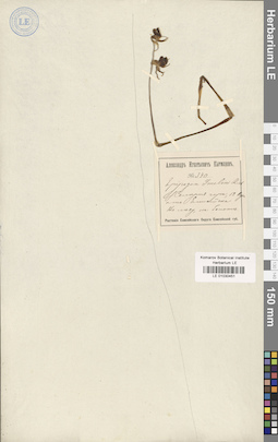 LE 01030451