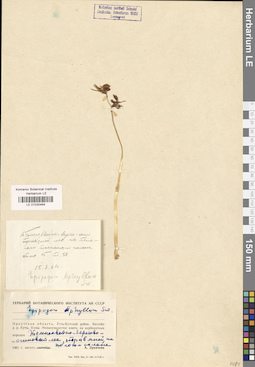 LE 01030464