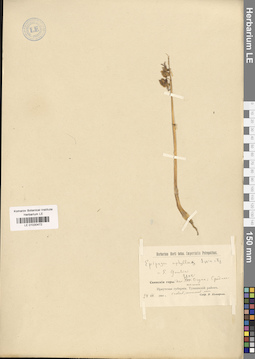 LE 01030472