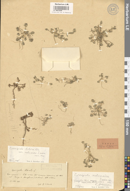 LE 00018289