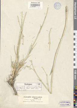 LE 00018294