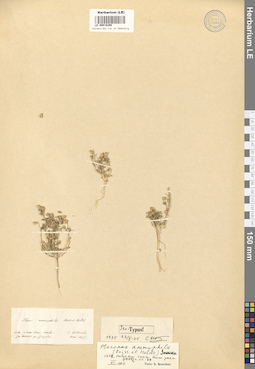 LE 00018298