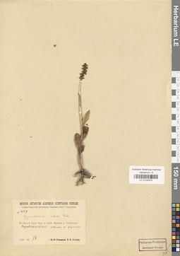 LE 01030474