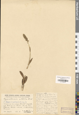 LE 01030475
