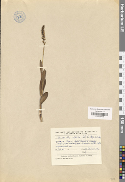 LE 01030476