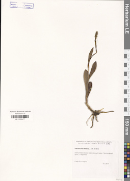 LE 01030477