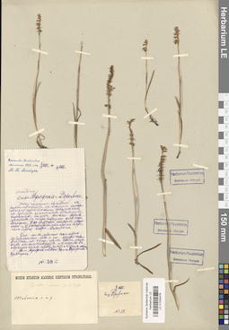 LE 01030478