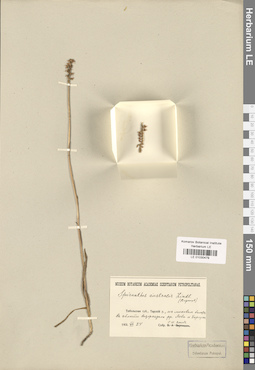LE 01030479