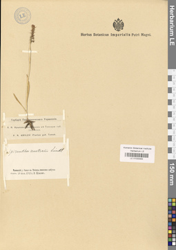 LE 01030483