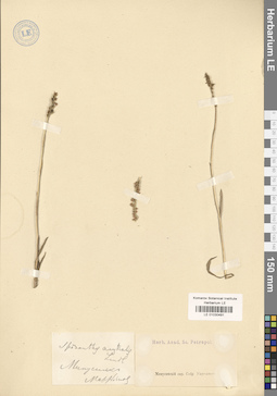 LE 01030491