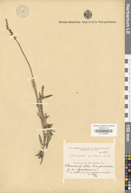 LE 01030494