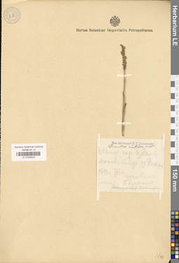 LE 01030503