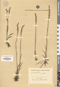 LE 01030506