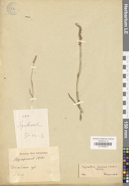 LE 01030510