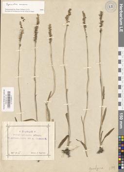 LE 01030511