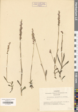 LE 01030512