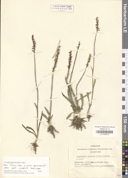 LE 01030513