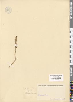 LE 01030519