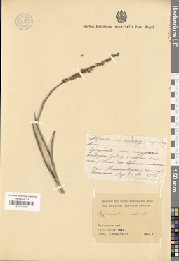 LE 01030527