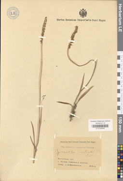 LE 01030538