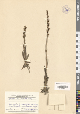 LE 01030542