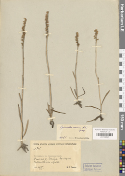 LE 01030547