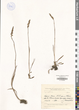 LE 01030560