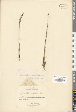 LE 01030569