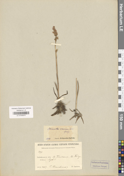 LE 01030570