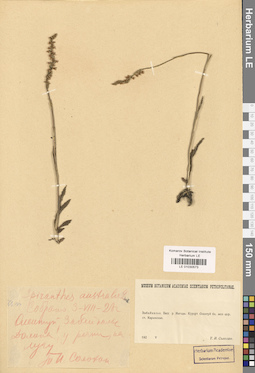 LE 01030573