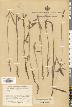 LE 01030575