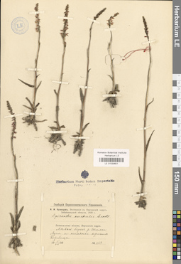 LE 01030601