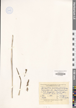 LE 01030602