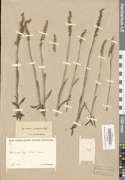 LE 01030603