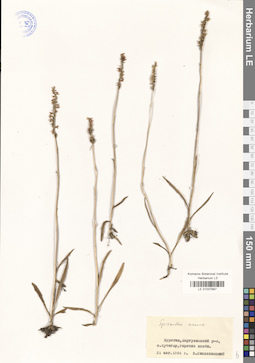 LE 01037687