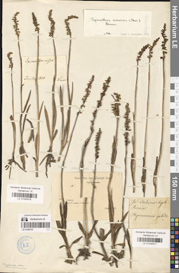 LE 01030578